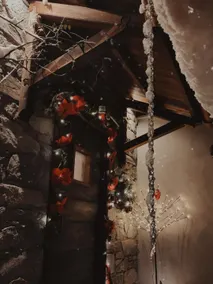 The nest of Lele and Schina. Cir 0004 - Image 2