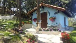House in the original grove - Image 2