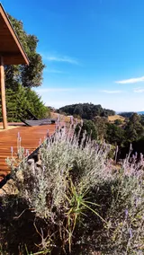 Casa do Deck - Comfort, coziness & contemplation - Image 4