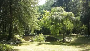 Nature Vacation Tiny House Vacation Paradise Old Oak Trees - Image 3