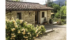 Vineyard cottage, 30 minutes to Florence - Image 5