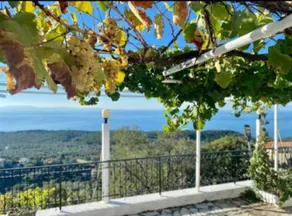 Panoramic villa overlooking olive groves and the sea in Vuno - Image 4