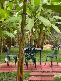 Banana tree house/garden Apt#3 near airport, BTS - Image 3