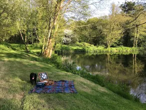 Dog friendly, minutes from coast - Sleeps 4 - Image 3