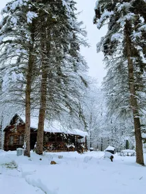 Deer Valley Retreat, Lovely Log Cabin with Fireplace & Garden Views- Perfect for a Relaxing Getaway! - Image 3