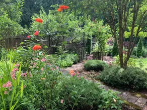 Visit Victoria large 2 bedrooms beautiful gardens - Image 3