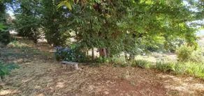 Terrace overlooking the sea, hills and villages - Image 2