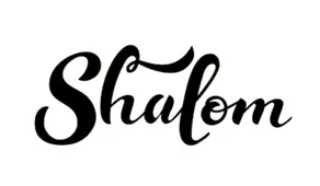 Shalom - Modern Spacious Home, 4BR + 4Beds + 3BA - Image 2