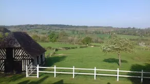 THE FIELD OF FROGS - Image 5