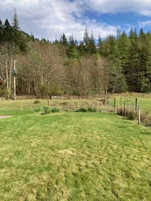 Benmore Drimfern - Uk38742 - Image 5