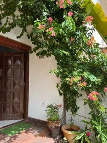 Le Rêve Assagao, Villa in North Goa with Jacuzzi - Image 5