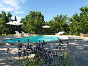 Mas Aarvik & Vega en Provence - Image 2