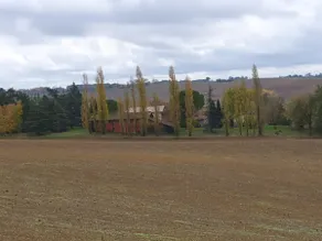 Farmhouse in the quiet countryside of Toulouse - Image 2