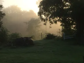 Hurricane Hill, une ferme près de Providence - Image 3
