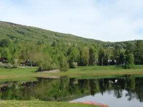 Beautiful Okemo Farmhouse 0.7 mile from base lodge - Image 4