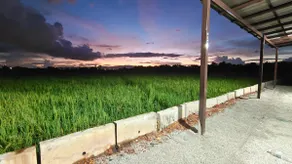 Paddy Villea Inn SPT Penang - Image 5