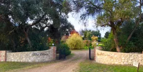 The Cottage Garden a Le olive - Image 3