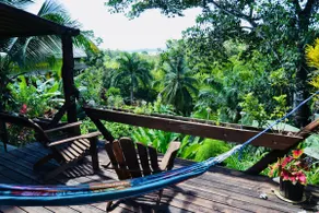 Chalet Tropical - Image 3