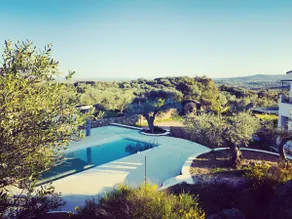 Flores Amarillas Farm - Image 2