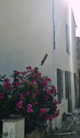 La Coulée Douce - Chez Antoine - Image 4