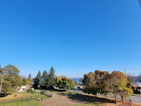 West Bay Views, Downtown TC - Image 2