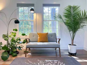 Honey House-beautiful loft 9 minutes from UVA - Image 2