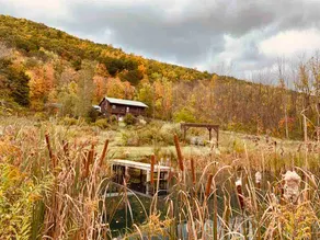House in a woods of Middlesex, NY - Image 3