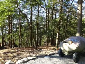 Camp Rousseau- Elegance in the Adirondack Forest - Image 4