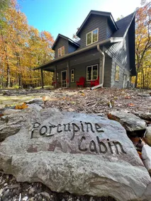 Door County-Cozy Cabin nestled in The Woods, and Close to all DC has to offer! - Image 4