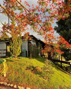 Miniluxo dos Lagos 1 Country Chalet - Image 2