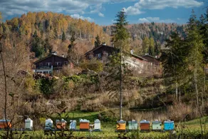Accommodation with a view of the Dolomites, separate entrance - Image 3