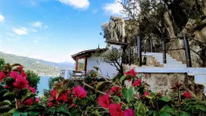 The Beautiful Suite of La Tribulacion - Image 4
