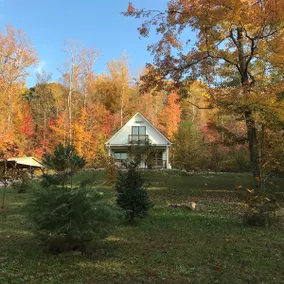 THE WHITE CABIN - ein von MCM / Anthro inspirierter Rückzugsort in ländlicher Umgebung, 6 km von der Innenstadt entfernt - Image 3