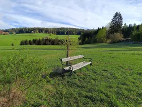 Moarhube vacation home - Image 5