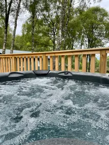 Fern Lodge 11 with Hot Tub - Image 2
