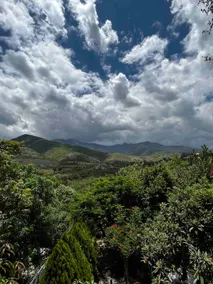 Garden House, Oaxaca - Image 5