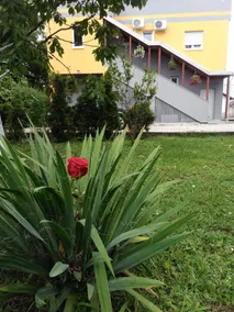Apartmani Jasmina 2 - Image 3
