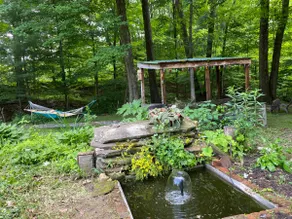 Quiet cottage nestled in the woods - Image 4
