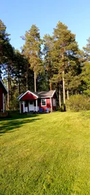 Cozy cottage among pine trees. - Image 3