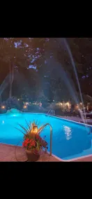 Oasis - Image 5