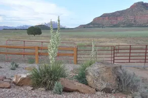 Custom Home On 40 Private Acres Overlooking Zion - Image 4