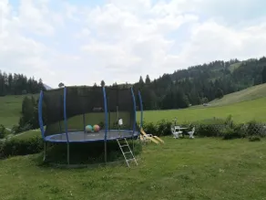 Vacation home ''ALPENLUFT'' in Zweisimmen, NaturPUR - Image 5