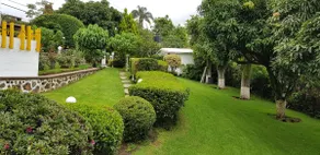 Quinta Celes - Image 4