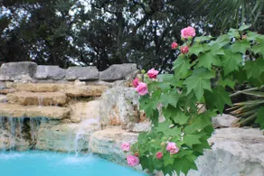 Couples Retreat with hot tub and steam room - Image 5
