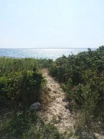 On the Beach Cottage in Fairhaven - Image 3