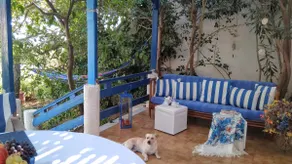 A Cretan house in the garden. - Image 2