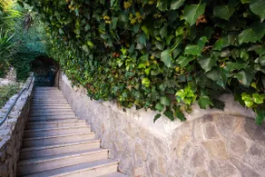 Casa Angelica - Image 4