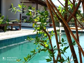 Vila o Billanco - Image 4