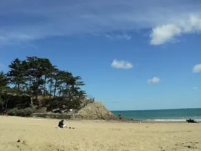 Charming house near the sea and quiet. - Image 3