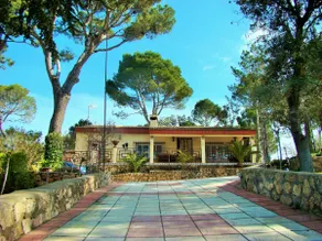 Private Pool and Amplitude - Image 3